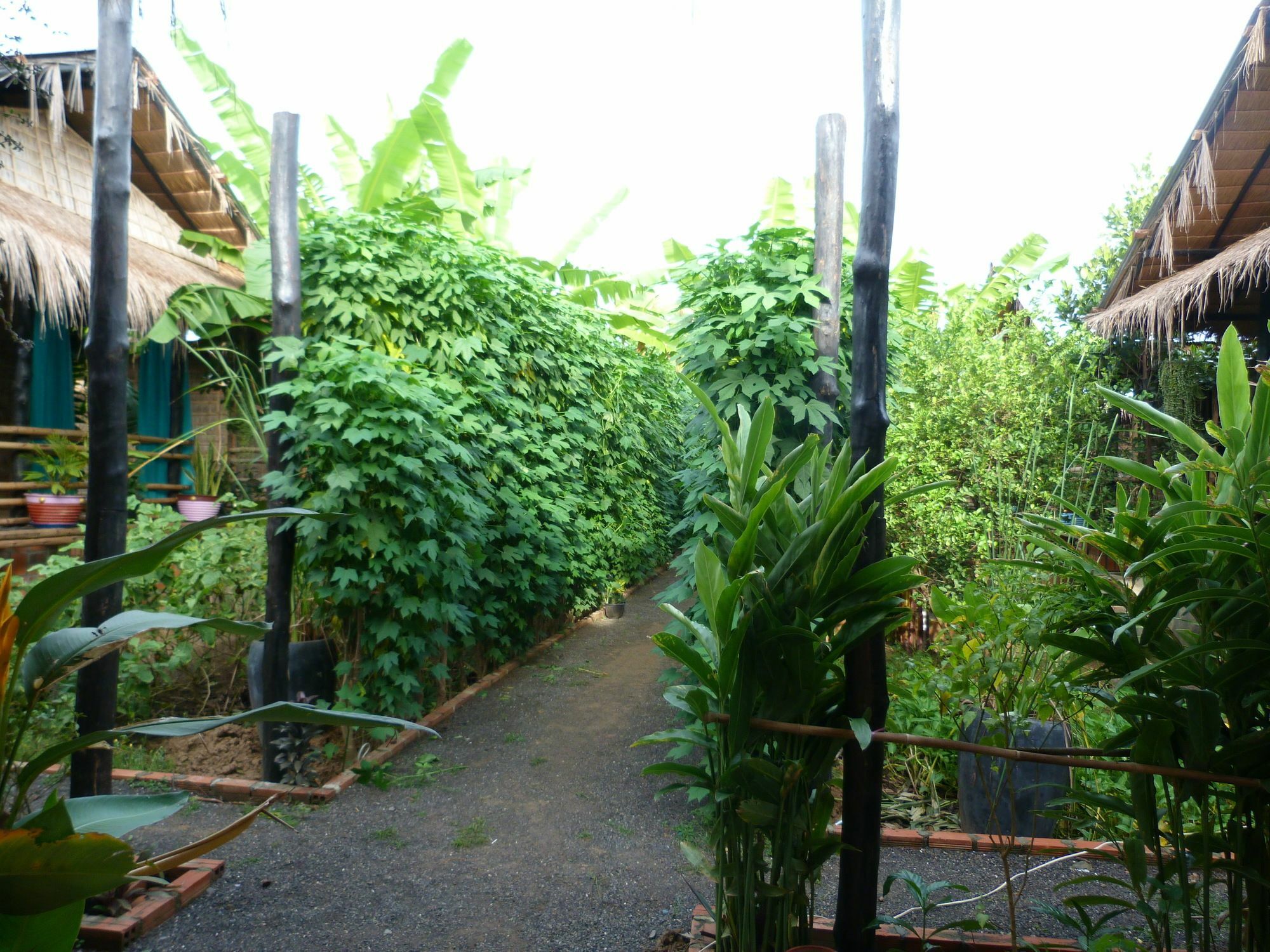 Battambang Dream Bungalows Kültér fotó